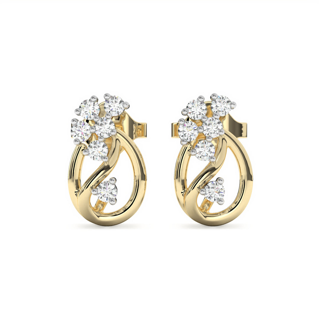 Haydée - Elegant Diamond Studded Earrings