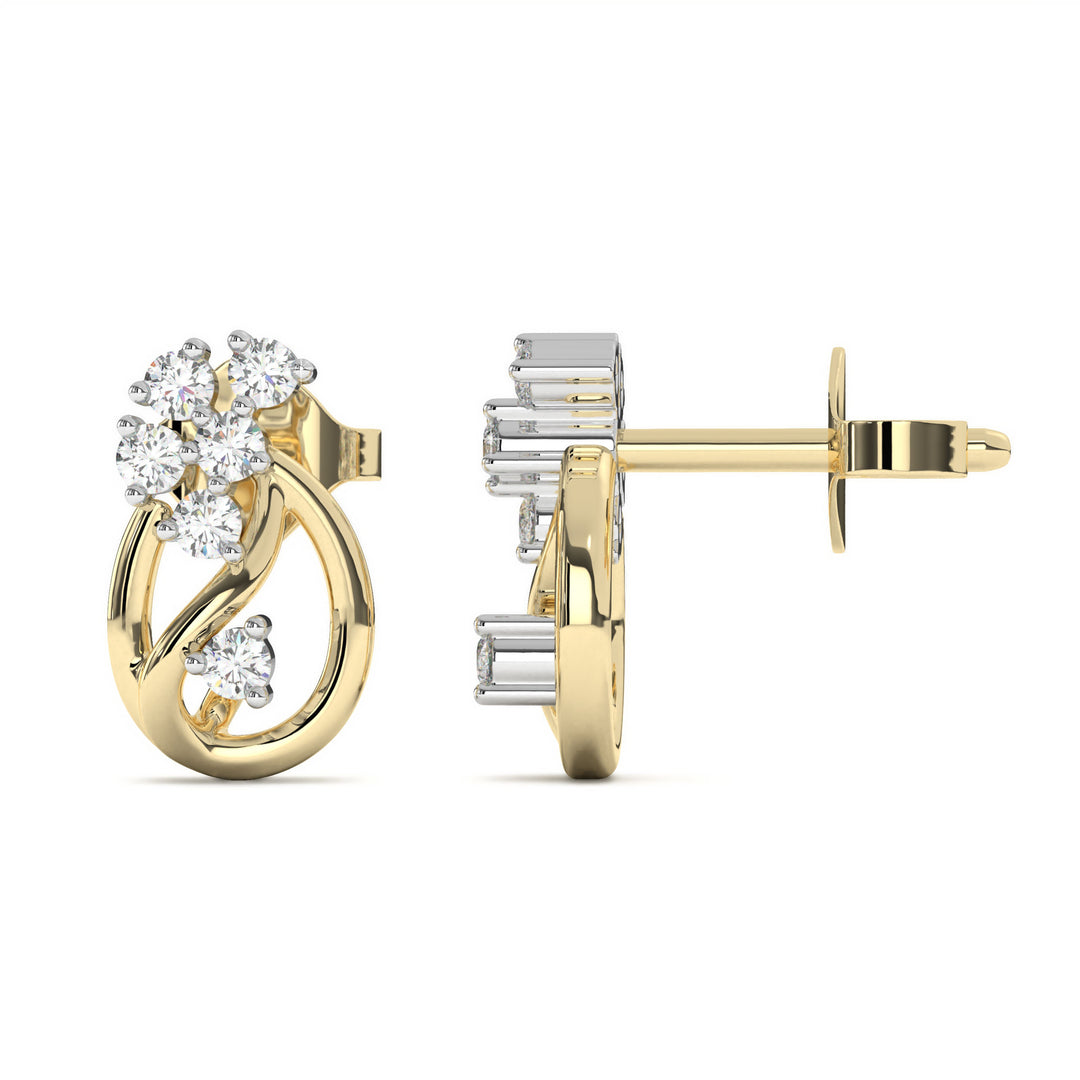 HaydÃ©e  Elegant Diamond Studded Earrings