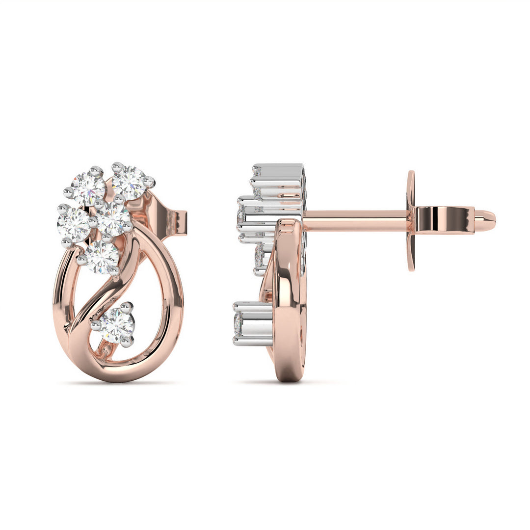 HaydÃ©e  Elegant Diamond Studded Earrings
