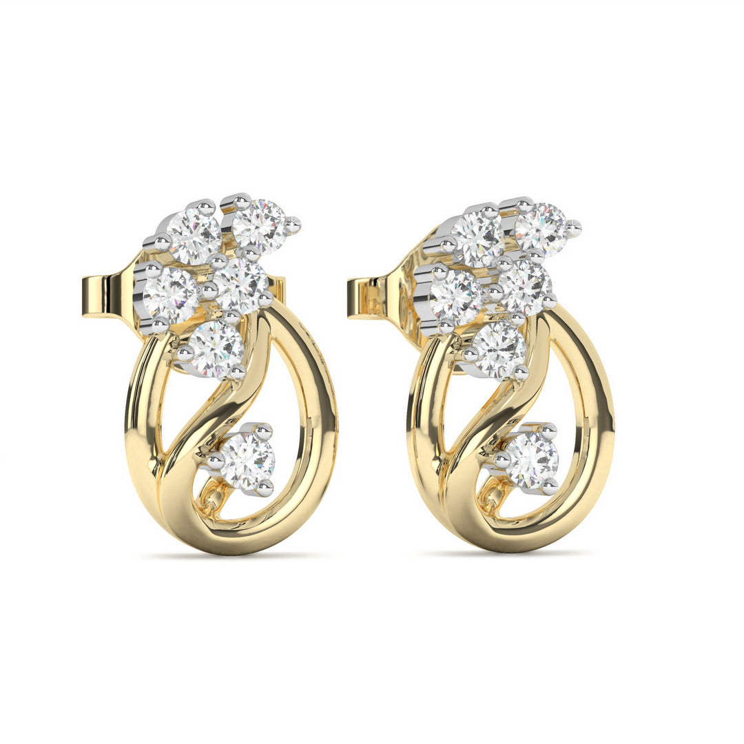 HaydÃ©e  Elegant Diamond Studded Earrings
