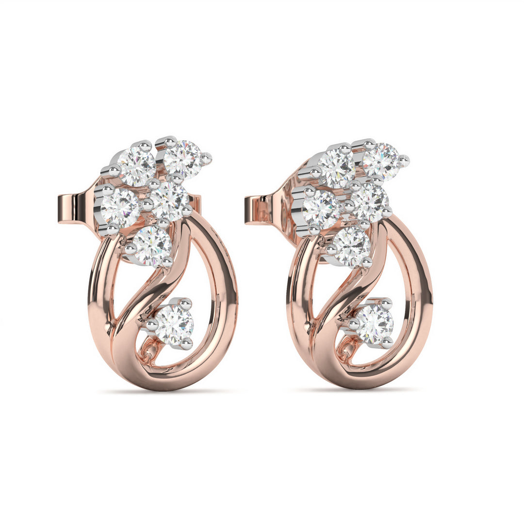 HaydÃ©e  Elegant Diamond Studded Earrings
